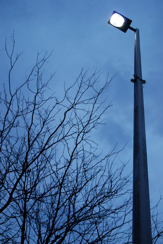 A lamp shines on trees near the Winona Mall in Winona, MN. The similar level of brightness from the lamp and the sky after sunset creates an eerie feeling. Dusk (2008)